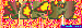 Nikol.gif